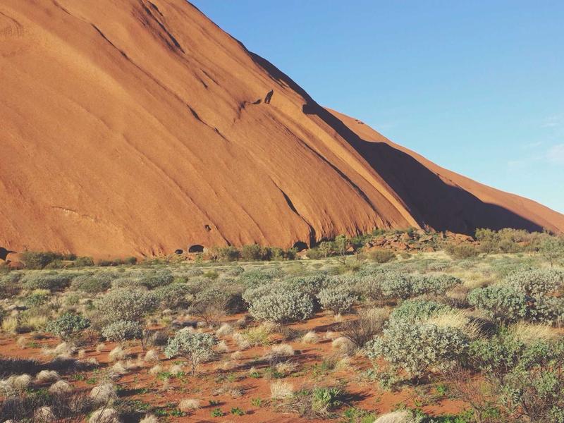 艺数复兴<br>NFT策展与数字艺术交易台